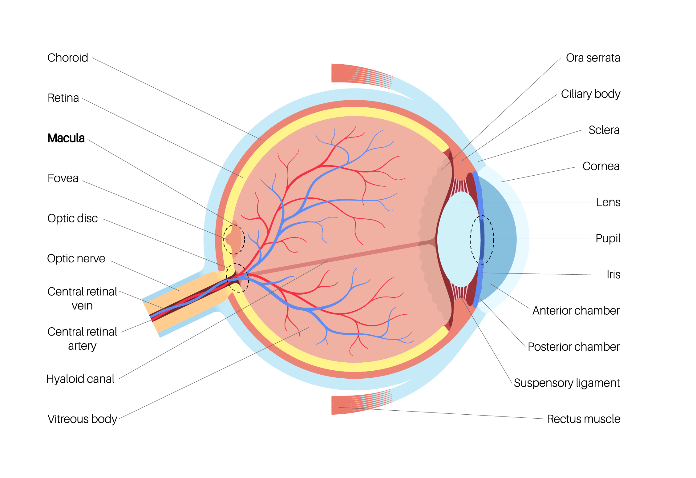 iStock-1830675445 [Converted]